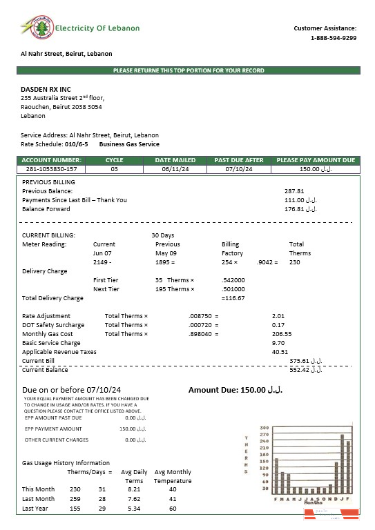 Lebanon Electricity of Lebanon business utility bill template in Word and PDF formats